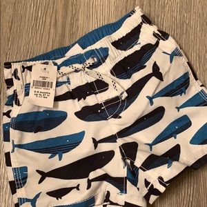 BabyGap - baby boy swim trunks